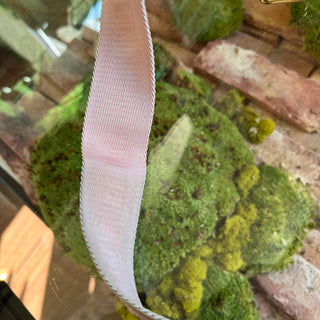 LOUIS VUITTON Pochette Accessories Pink Monogram Canvas Crossbody Bag