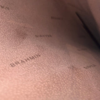 BRAHMIN Athena Tote Blue Melbourne Croc Embossed Leather Tote Bag