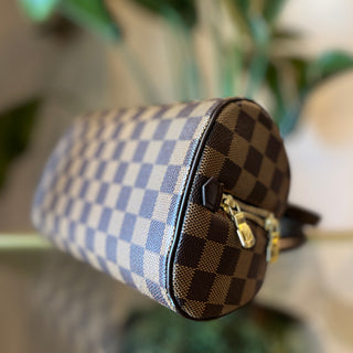LOUIS VUITTON Damier Ebene Ribera Mini Vintage