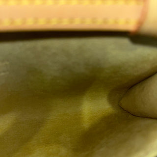 LOUIS VUITTON Twin PM Monogram Canvas Crossbody Bag