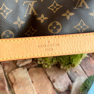 LOUIS VUITTON Beri MM Monogram Canvas Shoulder Bag