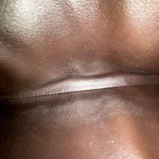 LOUIS VUITTON Monogram Emilie Wallet