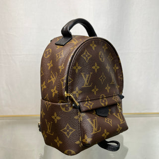 LOUIS VUITTON Mini Palm Springs Brown Monogram Backpack ADI11095