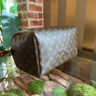 LOUIS VUITTON Speedy 30 Brown Monogram Canvas Satchel Bag