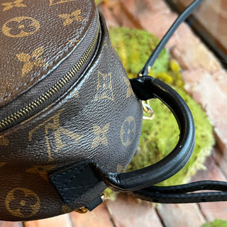LOUIS VUITTON Palm Springs Mini Monogram Backpack