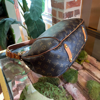 LOUIS VUITTON Galleria PM Brown Monogram Canvas Hobo Bag