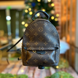 LOUIS VUITTON Palm Springs Mini Monogram Backpack