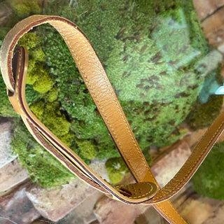 LOUIS VUITTON Sologne Brown Monogram Canvas Crossbody Bag