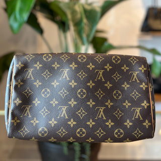 LOUIS VUITTON Speedy 30 Monogram