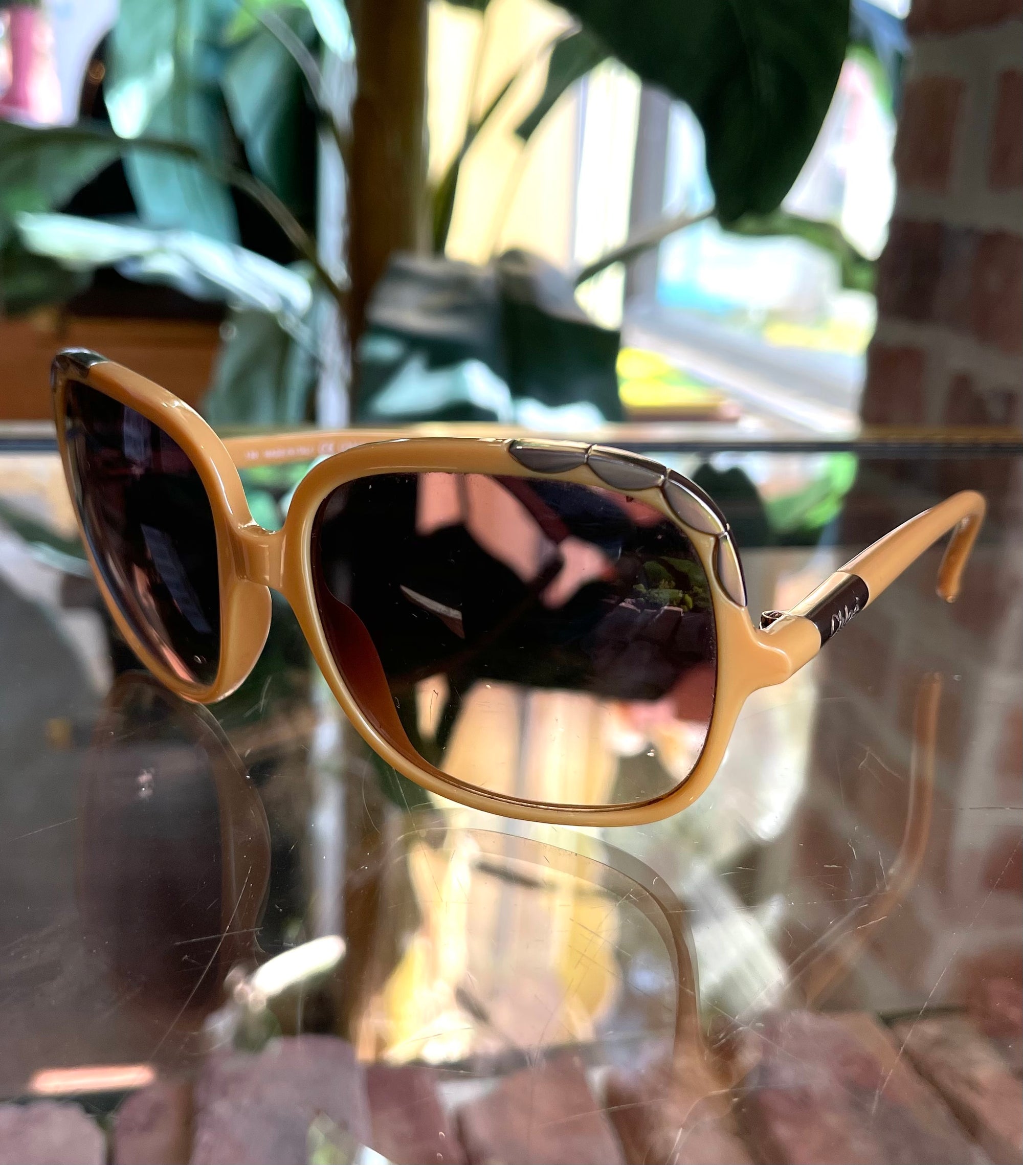 Chloe CL 2221 yellow sunglasses