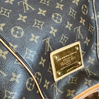 LOUIS VUITTON Galleria PM Brown Monogram Canvas Hobo Bag