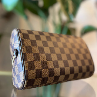 LOUIS VUITTON Damier Ebene Ribera Mini Vintage