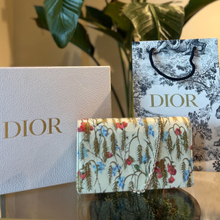 Christian Dior Multicolor Calfskin Lady-Dior Wallet on Chain