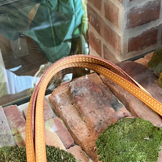 LOUIS VUITTON Neverfull MM Limited Edition V Monogram Canvas Tote Bag