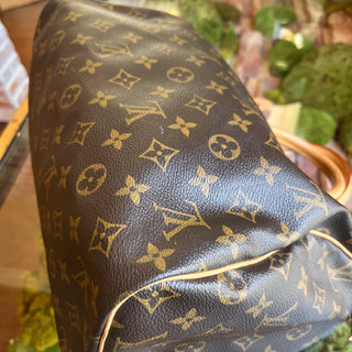 LOUIS VUITTON Speedy 30 Brown Monogram Canvas Satchel Bag