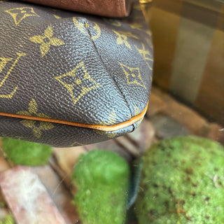 LOUIS VUITTON LV Monogram Musette Salsa GM