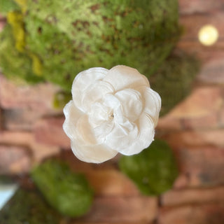 CHANEL Camellia White Fabric Pin Brooch