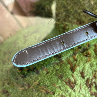 BOTTEGA VENETA Blue Python Belt Size L