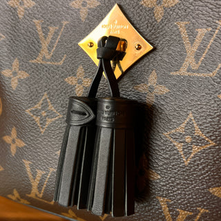 LOUIS VUITTON Saintonge Shoulder Bag