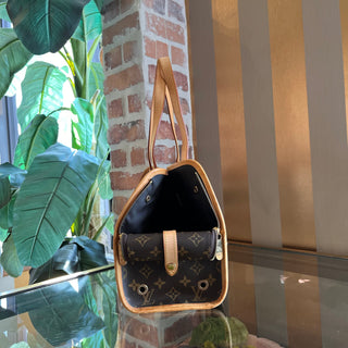 LOUIS VUITTON Sac Baxter Brown Monogram Canvas Dog Carrier