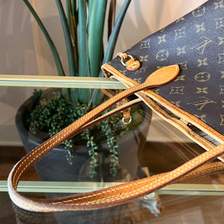 LOUIS VUITTON Monogram Neverfull PM