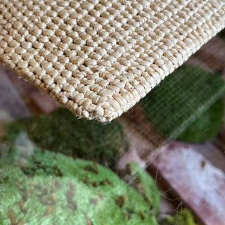 CELINE Small Triomphe Woven Raffia Zip Pouch
