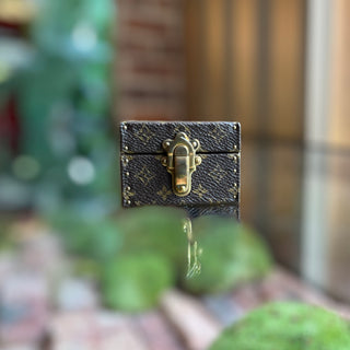 LOUIS VUITTON Monogram Canvas Ring Mini Trunk Case