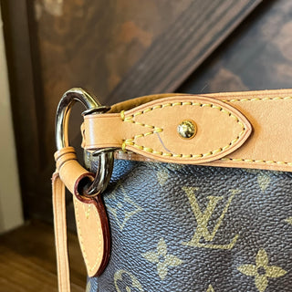 LOUIS VUITTON Delightful Brown Monogram Canvas Hobo