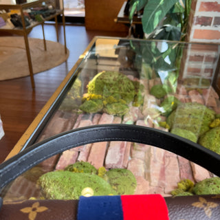 LOUIS VUITTON Georges MM Monogram Striped Canvas Satchel