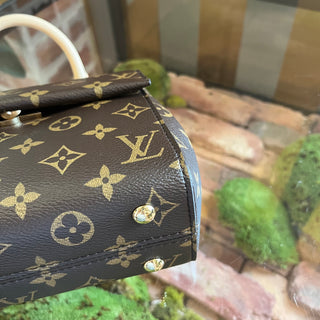 LOUIS VUITTON Cluny Mini Monogram Handbag