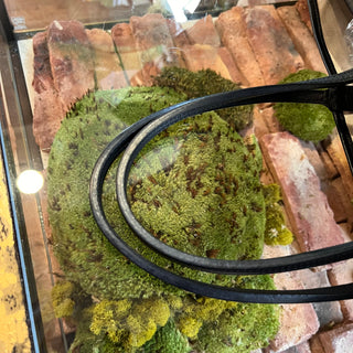 GOYARD Saint Louis PM Black Goyardine Canvas Chevroches Calfskin Tote