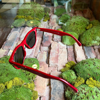CELINE CL40088L Red Acetate Wayfarer Sunglasses