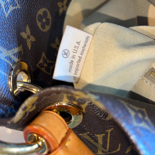 Louis Vuitton Artsy Monogram MM