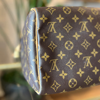 LOUIS VUITTON Speedy 30 Monogram