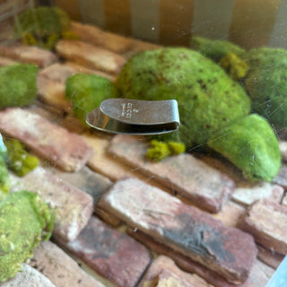 GUCCI Money Clip Silver