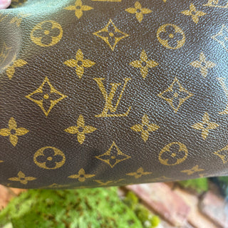 LOUIS VUITTON Monogram Speedy 30