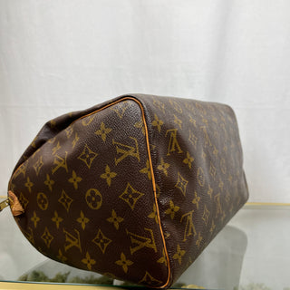 LOUIS VUITTON Speedy 30 Monogram