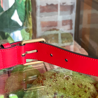 GUCCI Horsebit Red Leather Belt 85/34(6US)