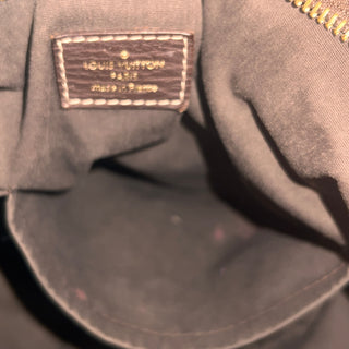 LOUIS VUITTON Mini Lin Manon Hobo Bag