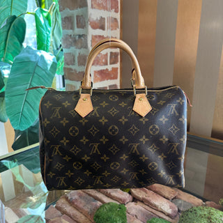 LOUIS VUITTON Monogram Speedy 30