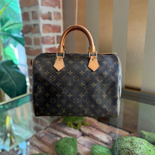 LOUIS VUITTON Monogram Speedy 30