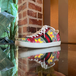 GUCCI Red Green Flora GG Supreme Web Ace Sneakers SZ 38 (US 8)