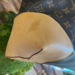 LOUIS VUITTON Berri MM Monogram Hobo