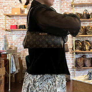 LOUIS VUITTON Eva Brown Monogram Canvas Clutch Bag