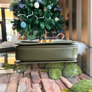 CELINE Triomphe Classique Medium Green Shiny Calfskin Shoulder Bag