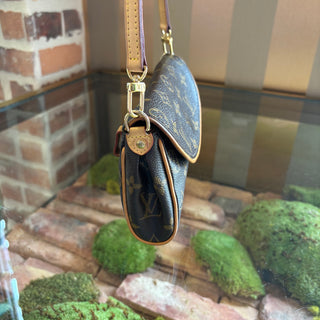 LOUIS VUITTON Pochette Friendly 2-Way Bag