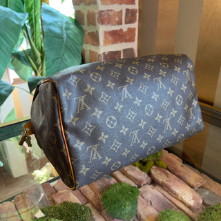 LOUIS VUITTON Vintage Speedy 30 Monogram