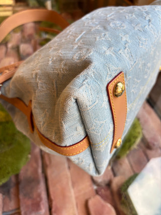 LOUIS VUITTON Denim Carryall PM W/ Pouch