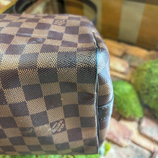 LOUIS VUITTON Speedy Bandoulere Damier 25