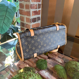 LOUIS VUITTON Sac Baxter Brown Monogram Canvas Dog Carrier